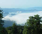 屏山天气预报60天