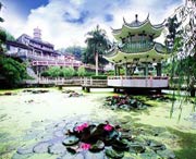 新兴后天天气